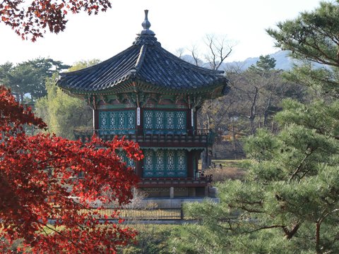 a tall tower sitting in the middle of a forest