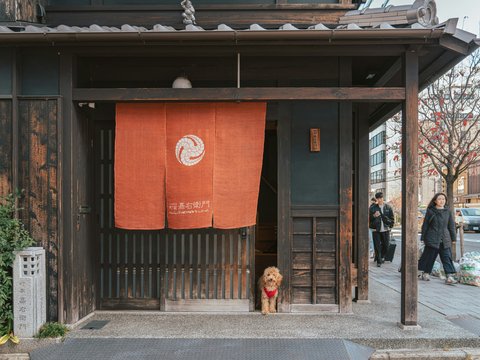 a dog is standing in the doorway of a building