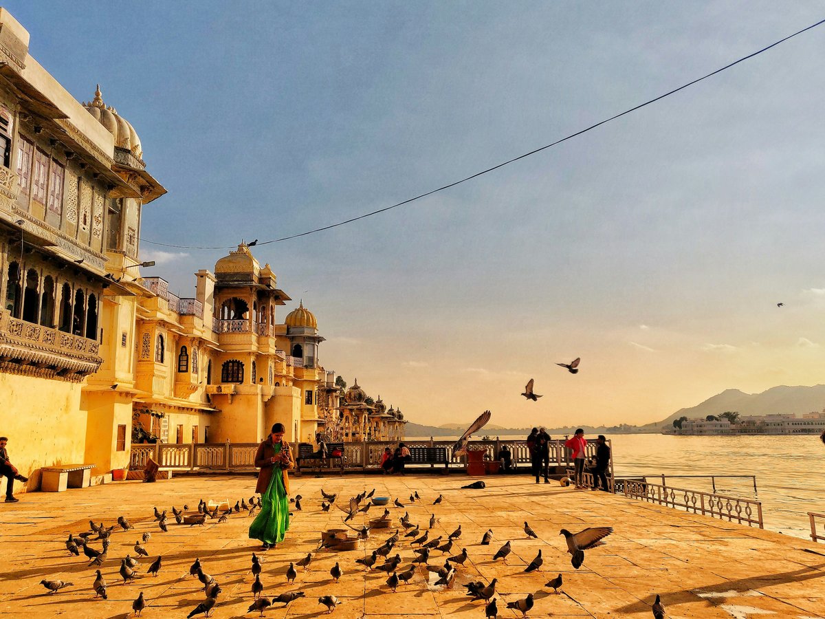 a group of birds gather by a building
