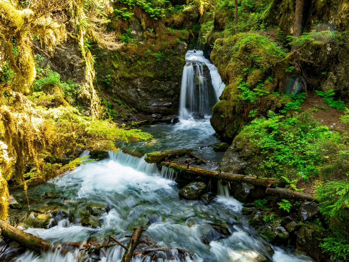 a small waterfall in the middle of a forest