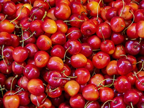 red berry lot