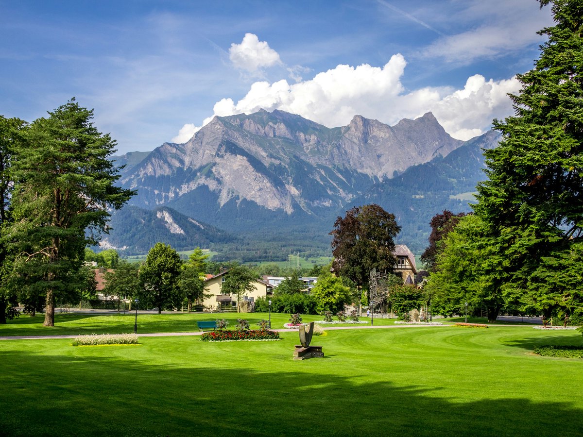 green grass field with trees and mountains in the distance