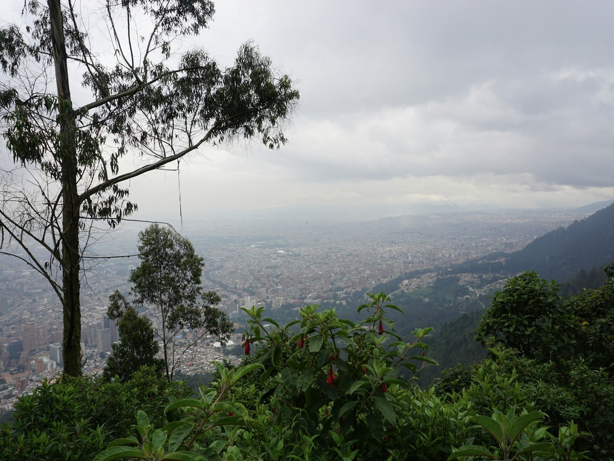 A view of a city from the top of a hill