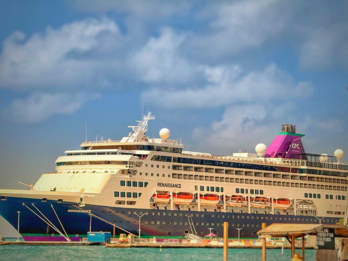 Large cruise ship docked at port with cloudy sky.
