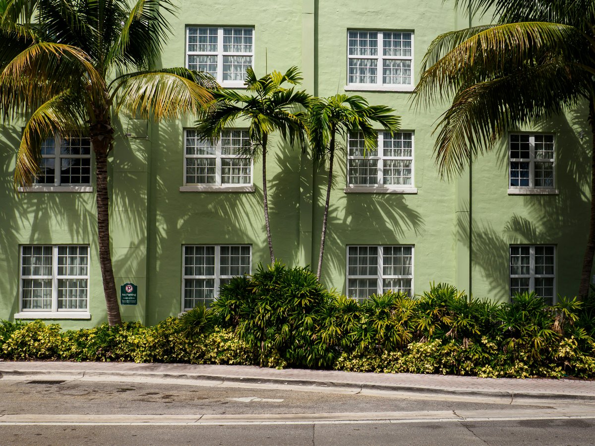 Green building with palm trees, and a street