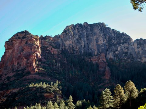 Rocky mountain with pine trees under clear sky