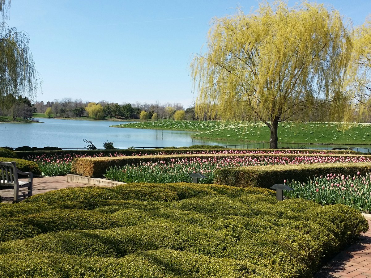 A beautiful garden with a lake and weeping willow trees