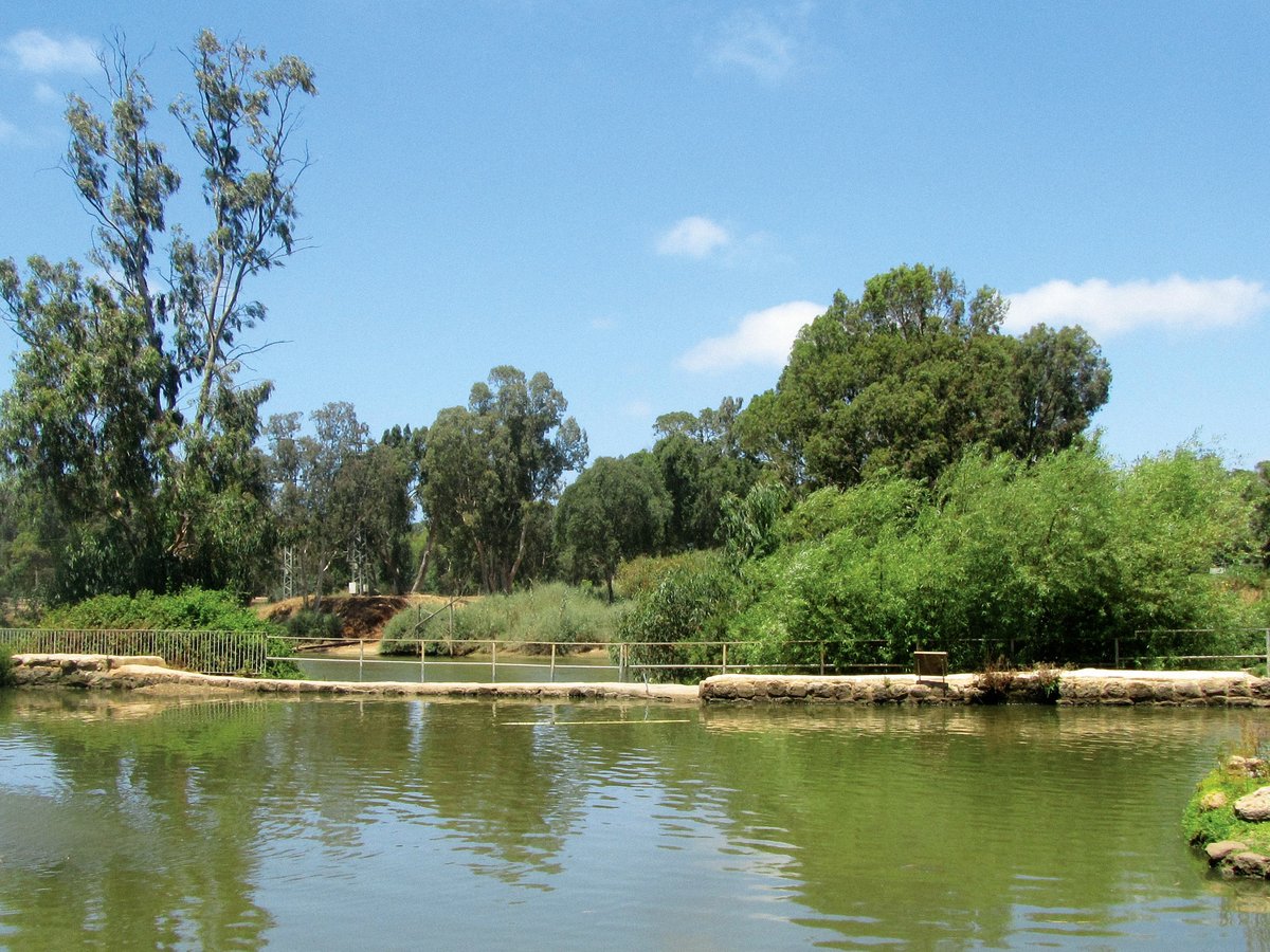 a body of water with trees and rocks around it