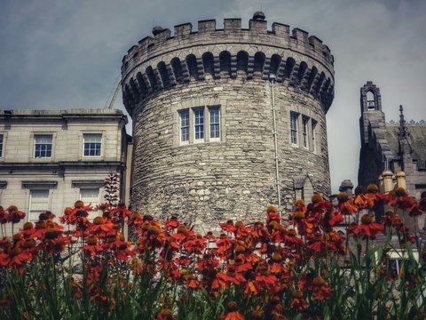 gray castle