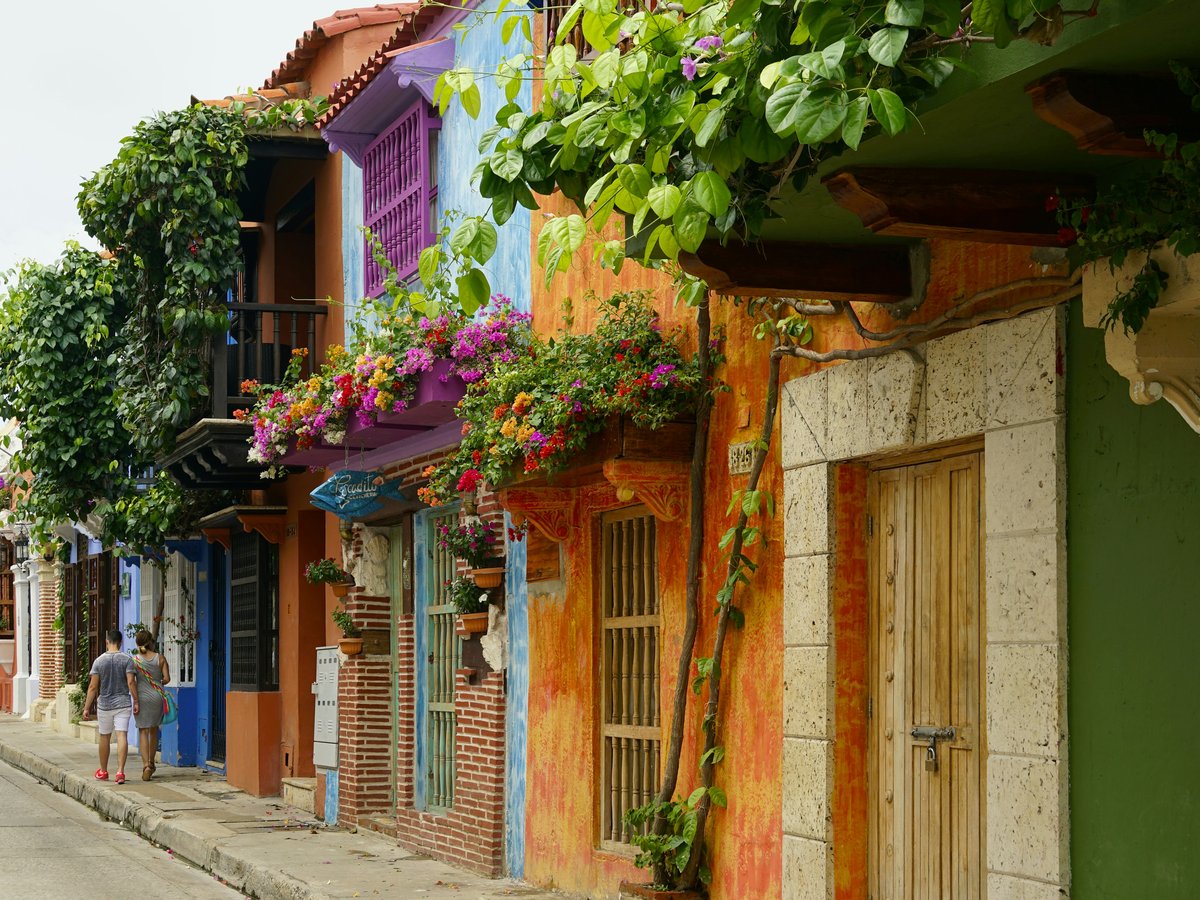 multicolored houses