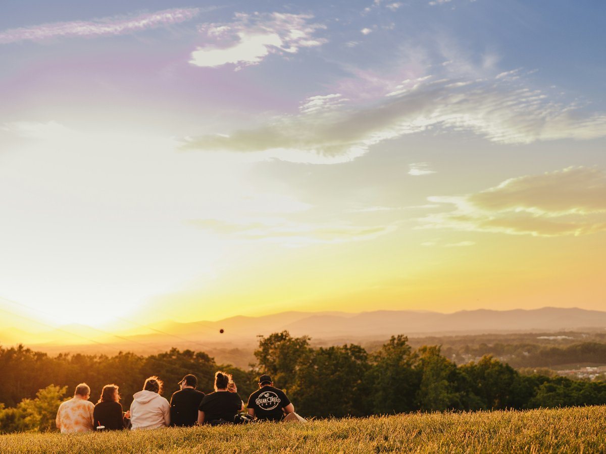 a group of people sitting on top of a lush green field