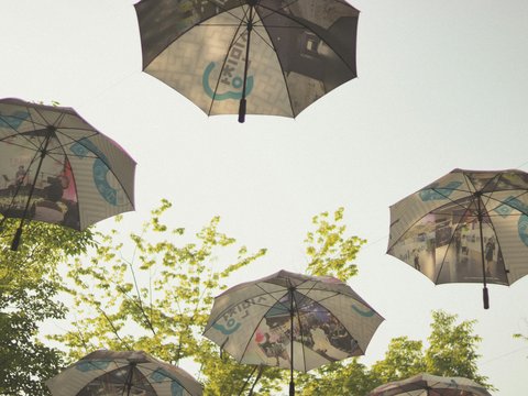 low angle photography of umbrella umbrellas under white sky during daytime