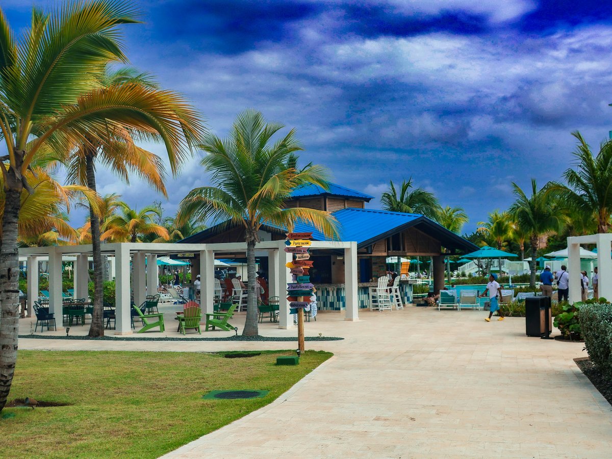 A walkway leading to a beach with palm trees