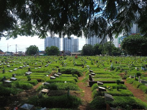 A cemetery with buildings in the background