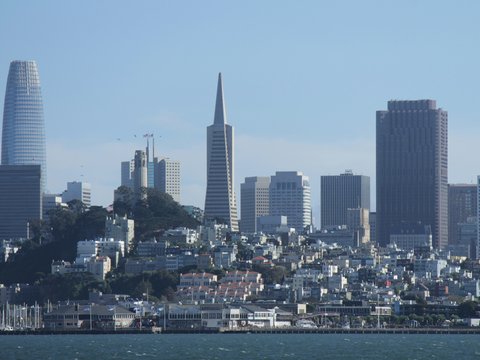 San francisco skyline with transamerica pyramid and salesforce towers.