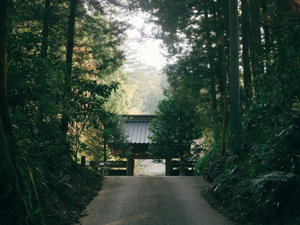 a path through a forest with a gate in the middle