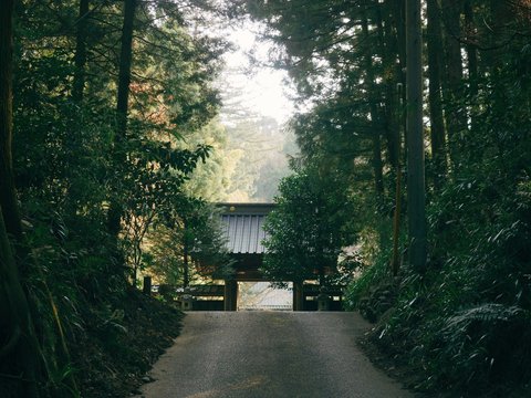 a path through a forest with a gate in the middle