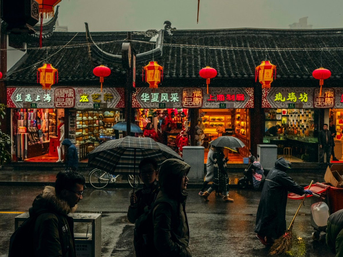 person carrying umbrellas