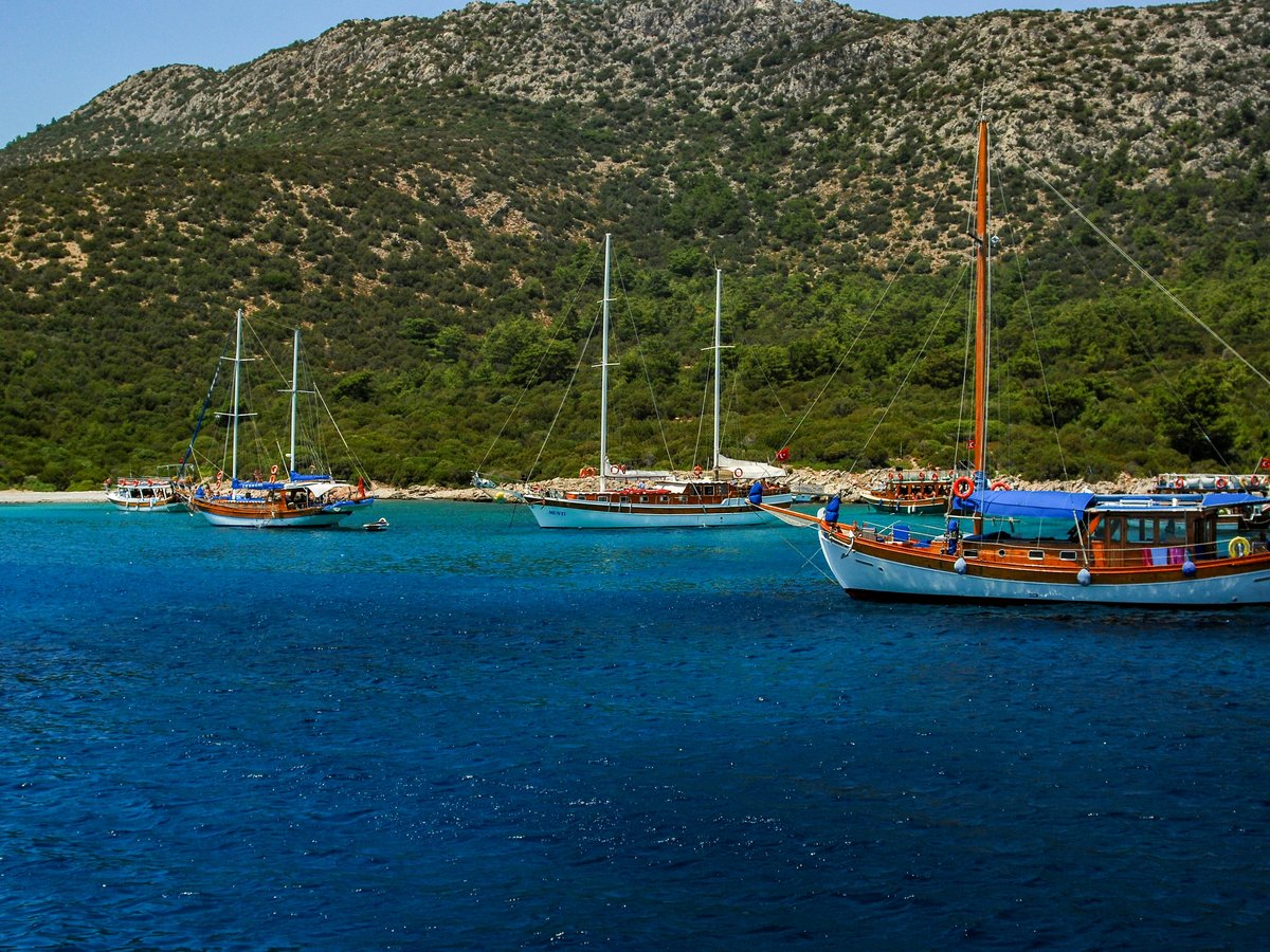 white and blue boat on sea during daytime