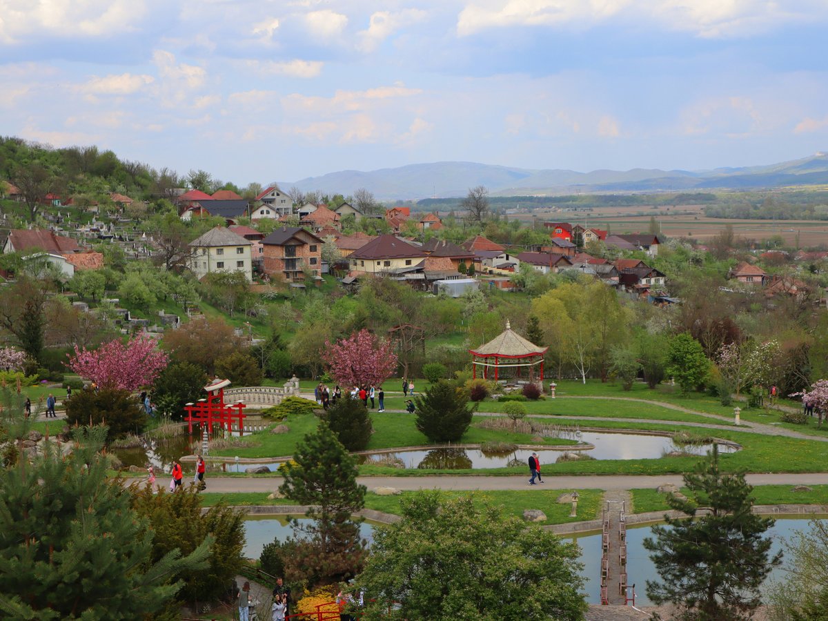 a view of a park with a lot of trees