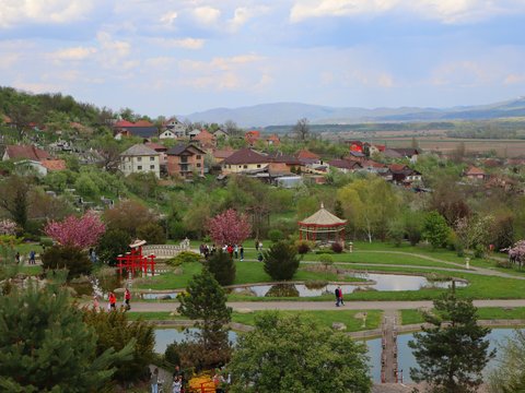 a view of a park with a lot of trees