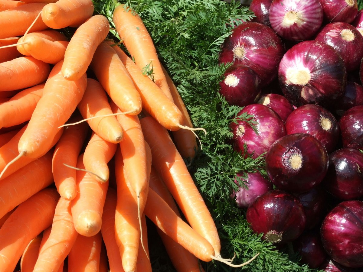Carrots and red onions at a market display.