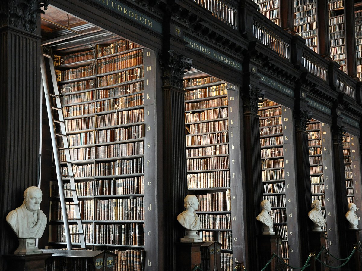 a library filled with lots of books and busturines