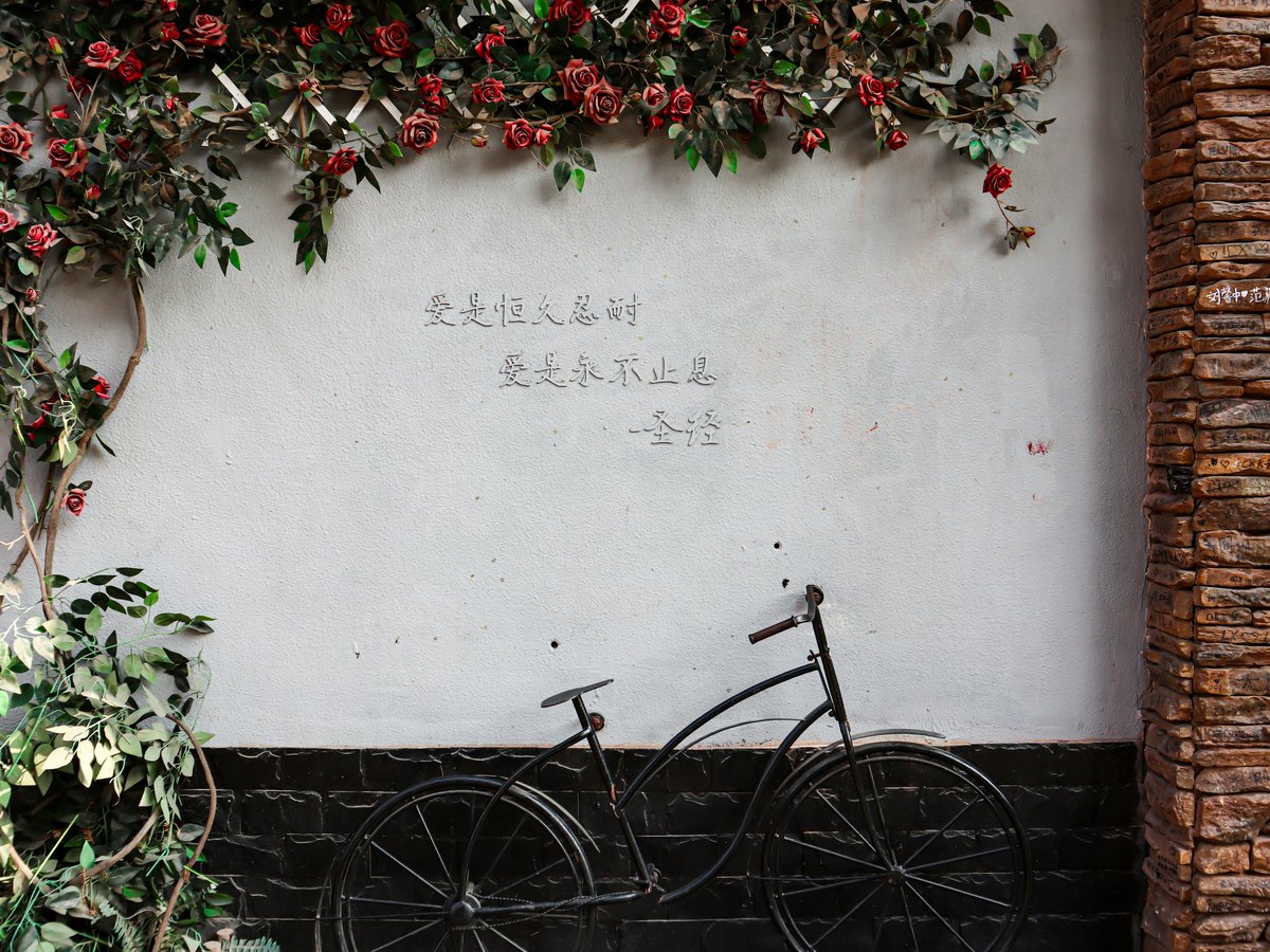 A bike parked next to a wall with flowers growing on it