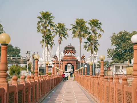 a walkway with palm trees and a building in the background