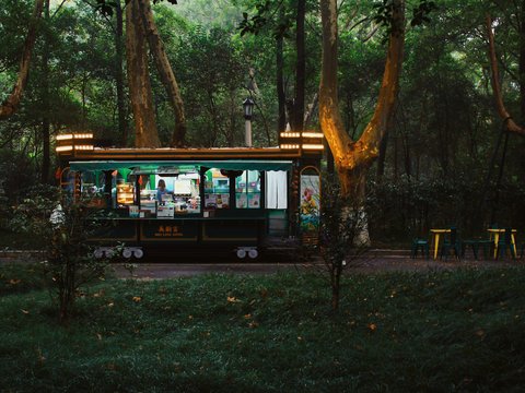 Illuminated food truck parked amidst tall trees in a forest