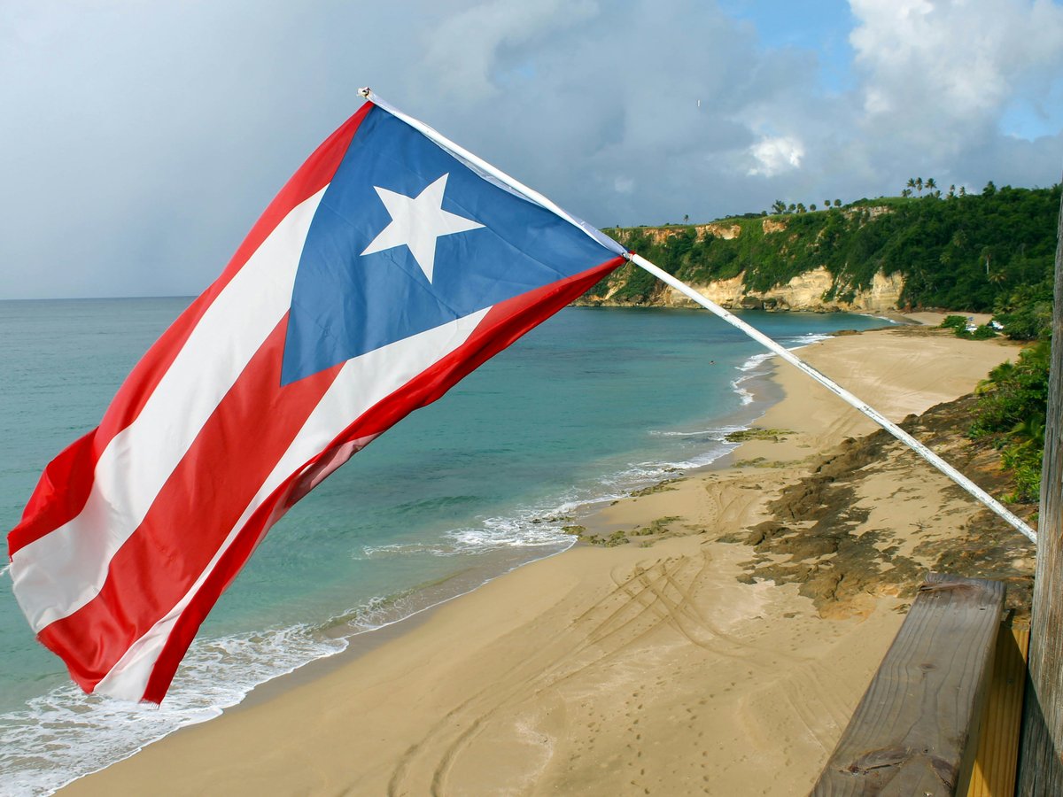 red and white flag on beach shore during daytime