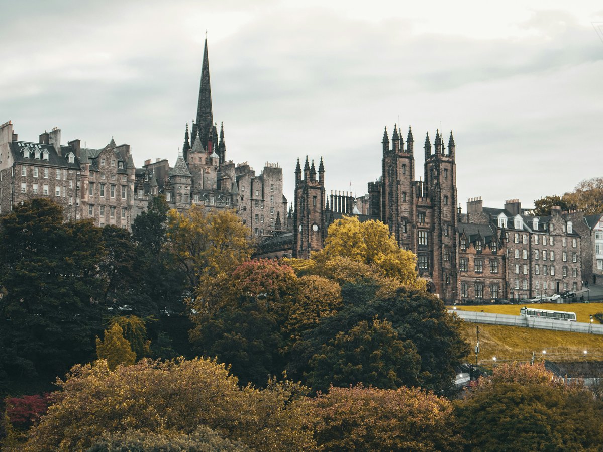 a castle on a hill