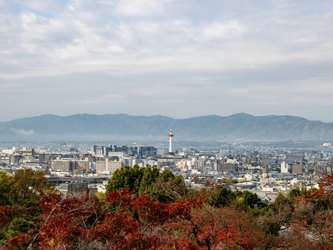 a view of a city with mountains in the background