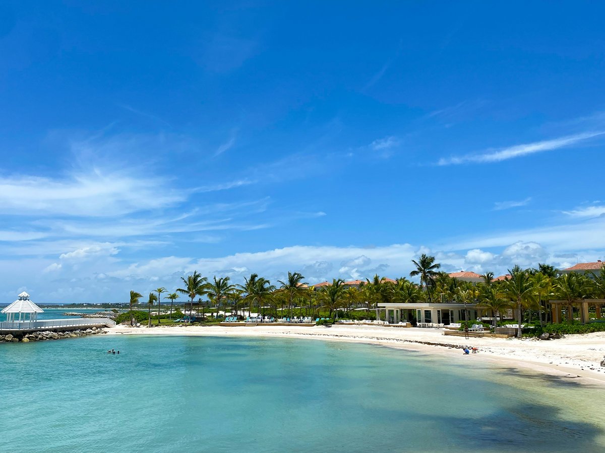a sandy beach with palm trees and blue water