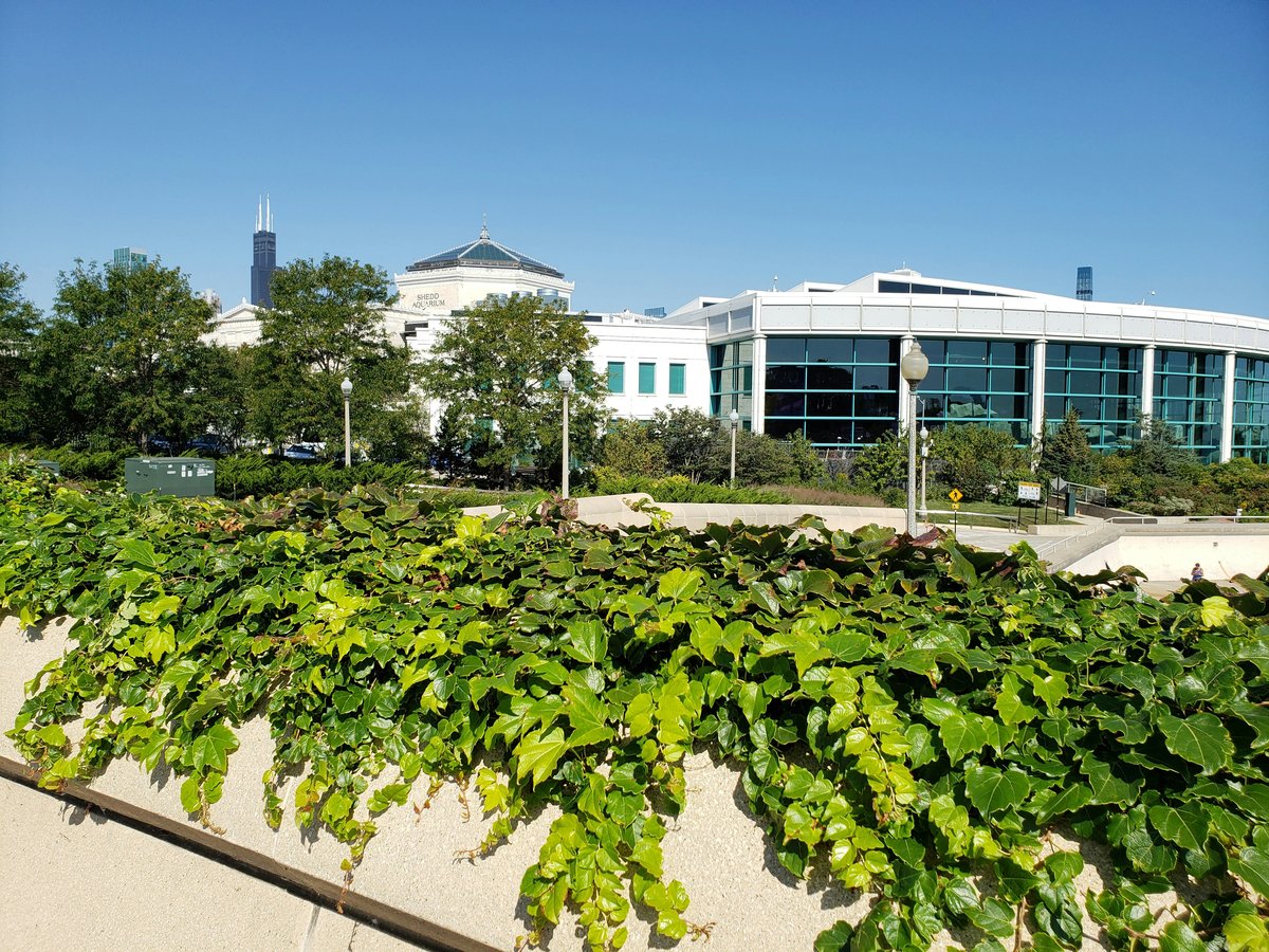 a building with a lot of green plants in front of it