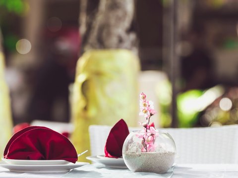 red rose on white ceramic plate