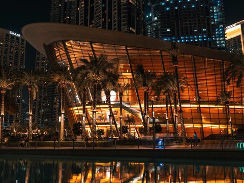 Modern building with palm trees at night