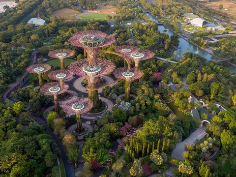 aerial view of trees, river, and architectural landmark