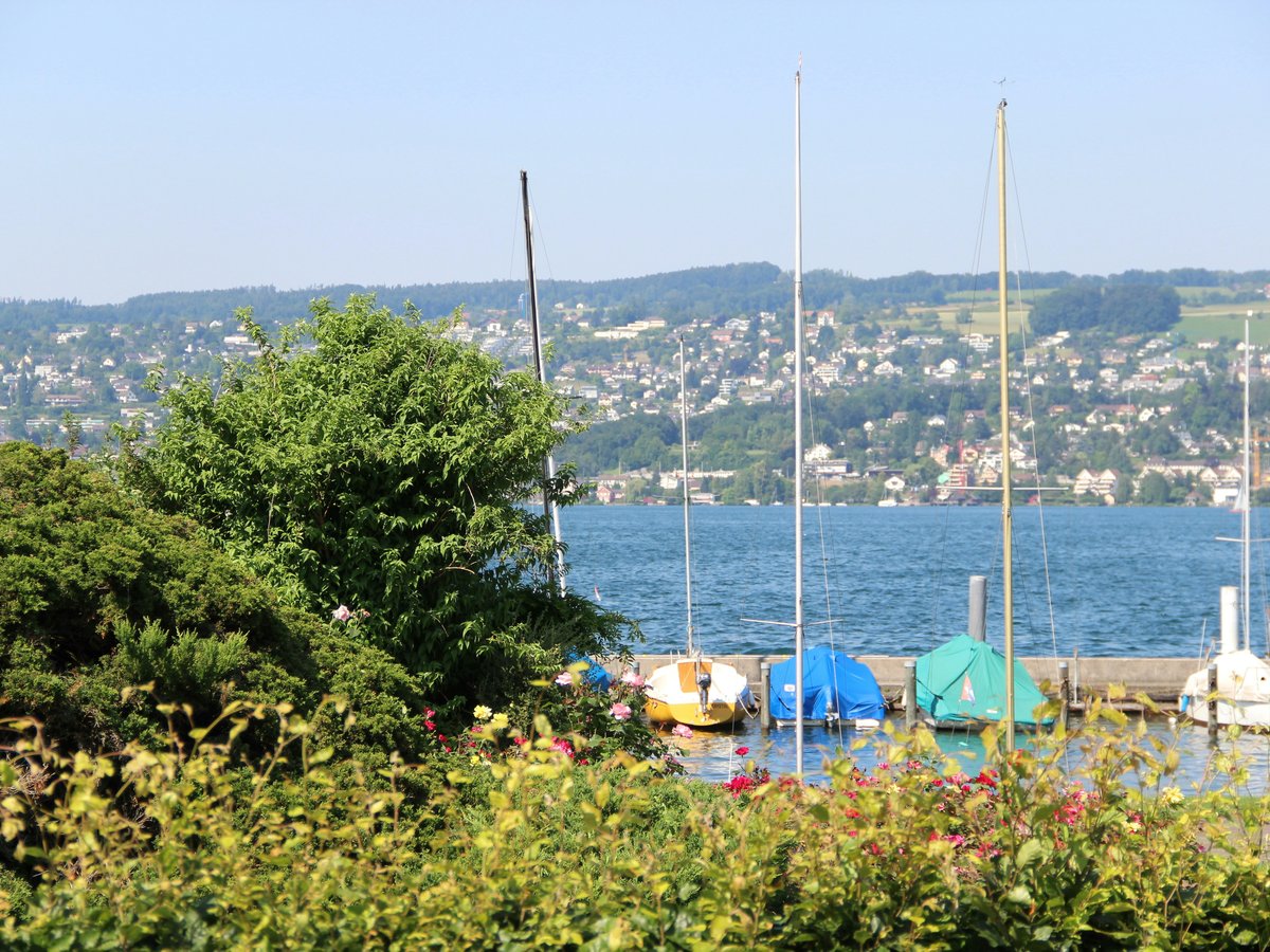 a group of boats sitting on top of a body of water