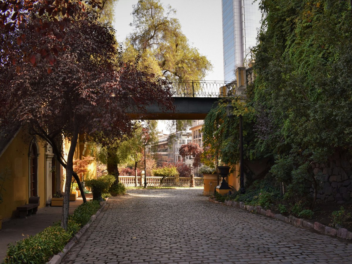 green trees near gray concrete pathway during daytime