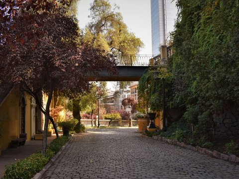 green trees near gray concrete pathway during daytime