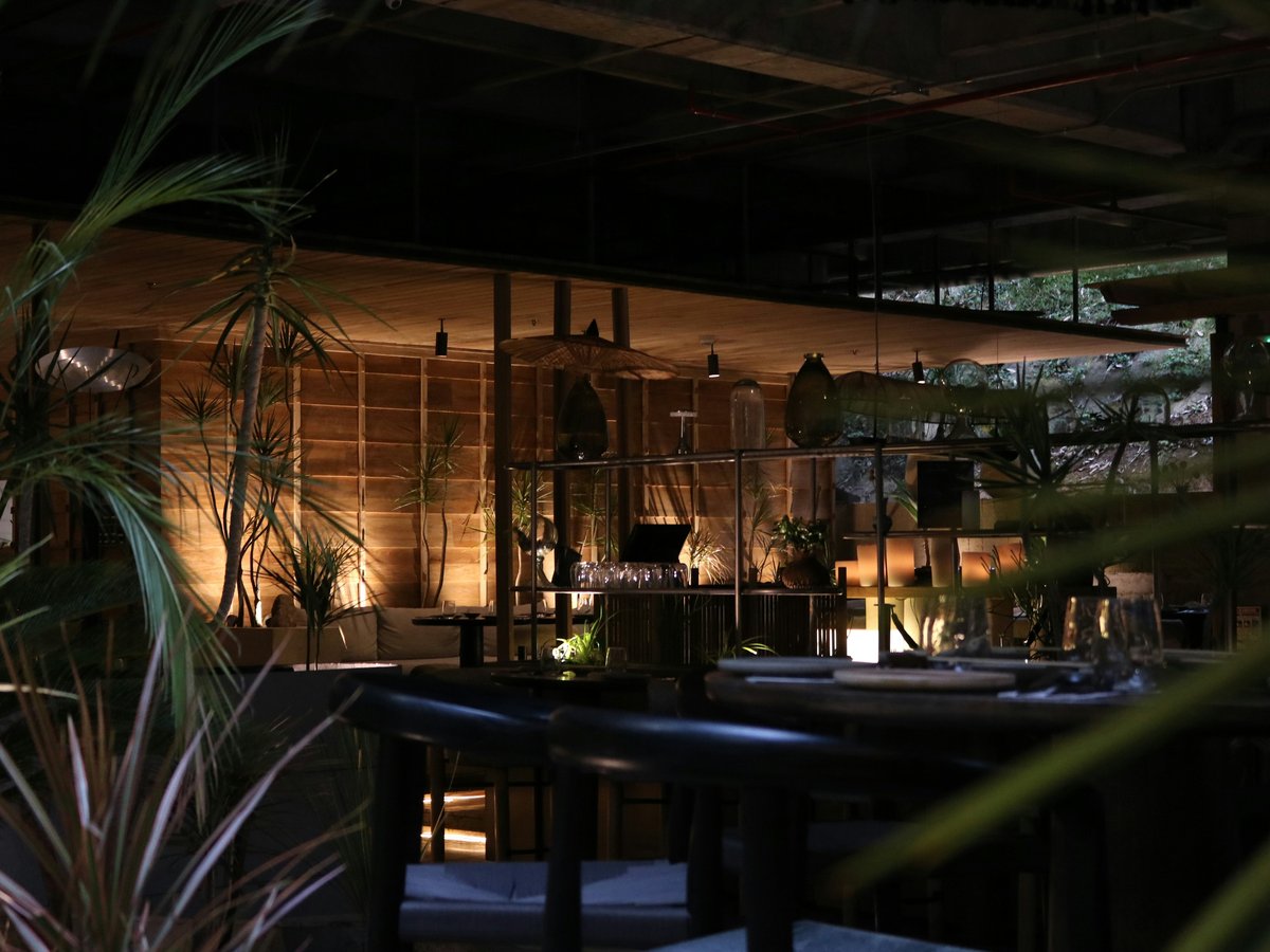 a dimly lit restaurant with a lot of plants