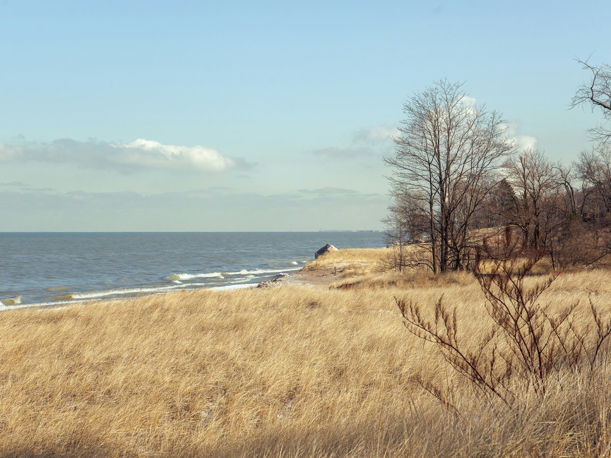 a grassy area next to a body of water