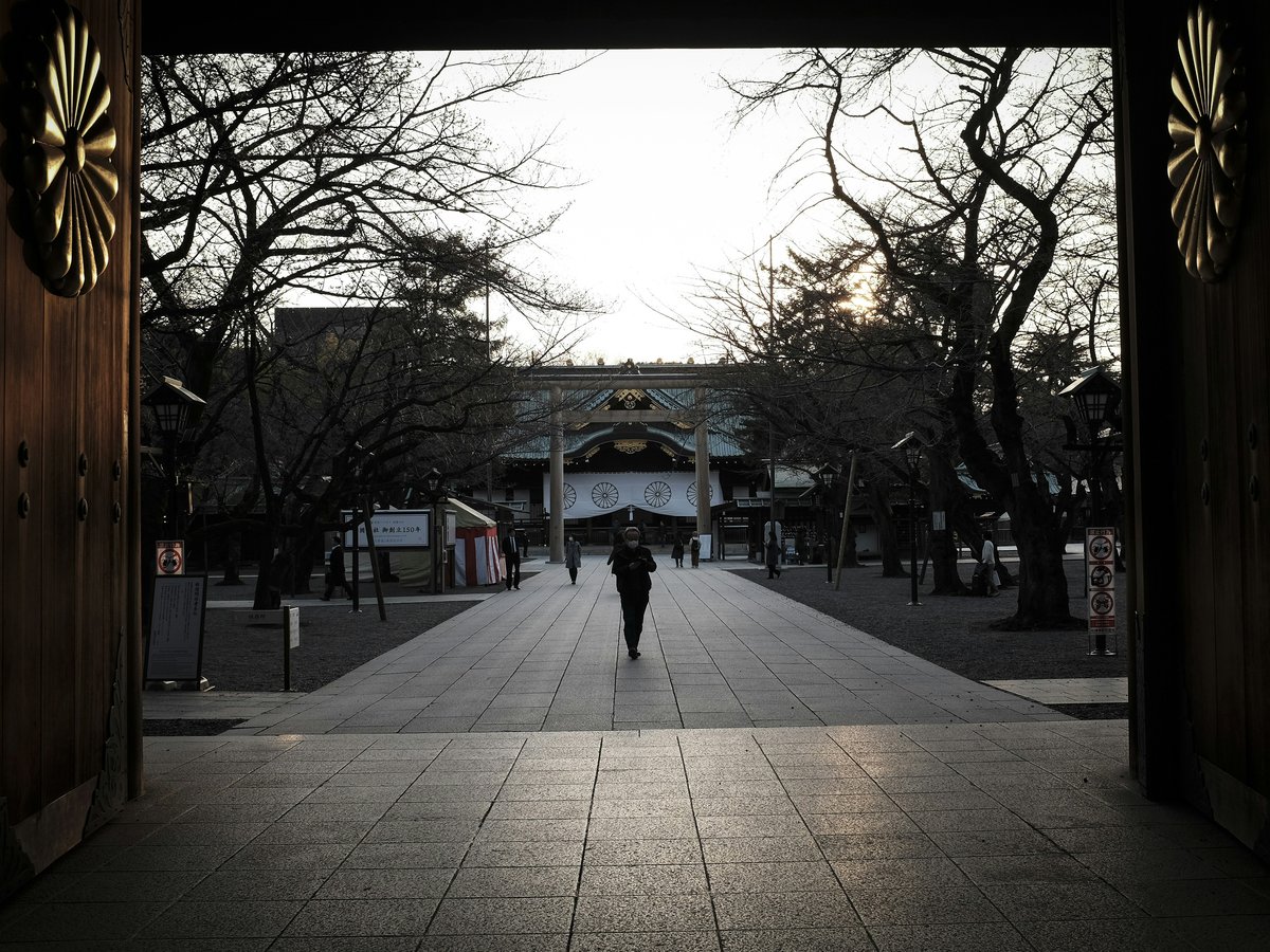 people walking on sidewalk near bare trees during daytime