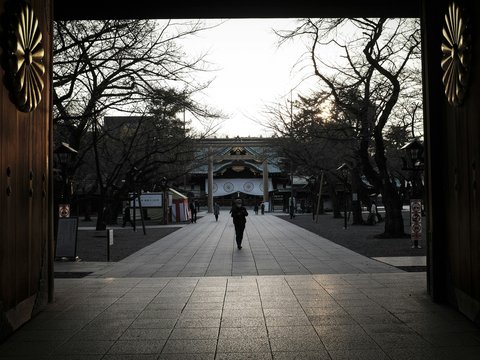 people walking on sidewalk near bare trees during daytime