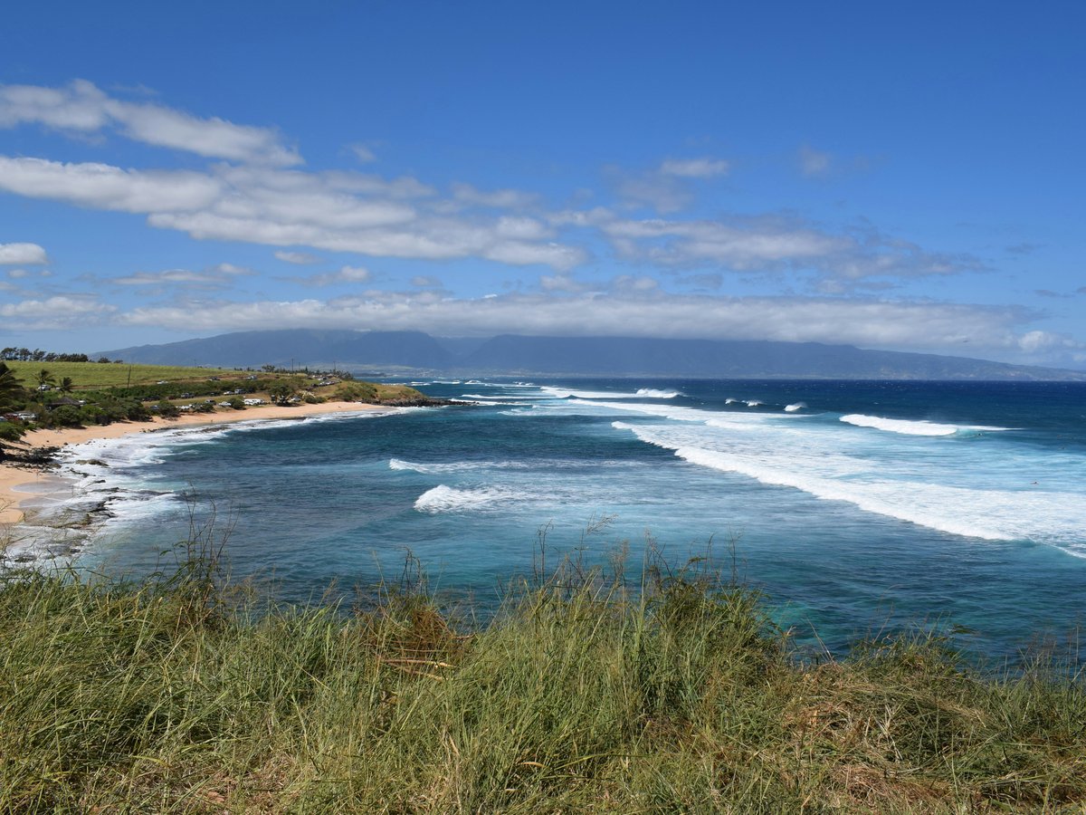 green grass near sea under blue sky during daytime