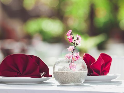 pink roses in clear glass vase on white table