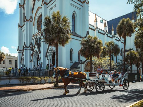 a horse carriage on the street