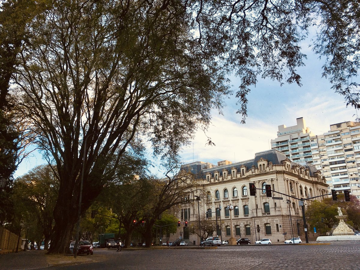A city street with tall buildings and trees