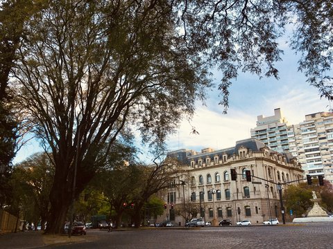 A city street with tall buildings and trees
